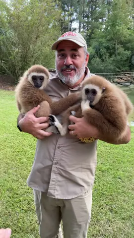 How cute are these two! 🐵 #animals #nature #animalsoftiktok #monkey #cute #cuteanimals