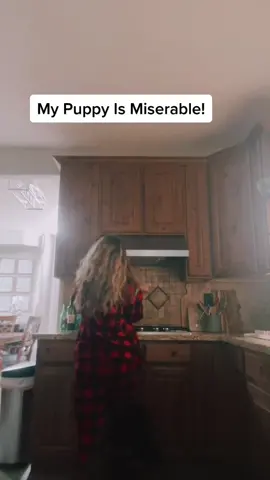 Happy Sunday friends! Not his 1st dance 🤭 we’re not wierd #firstdancetiktok #firstdancegoals  #puppiesoftiktok #dogmomlife #MomsofTikTok #dogmomaf #bernadoodle #bernadoodlepuppy #sundaymorning #momtiktok #dogsofttiktok #miserablepeople #baddog #dancingdog #easylikesundaymorning #bernadoodlesoftiktok