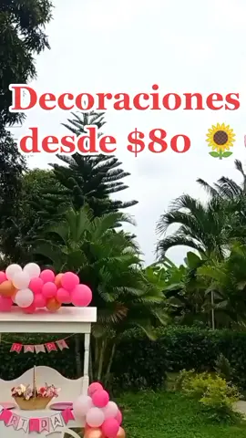 El complemento de todas las fiestas son las decoraciones en Finca Rosa Celia contamos con paquetes desde $80. #areasverdes #finca #complejoturistico #decoracion #fiestas #cumpleaños #fiestasinfantiles
