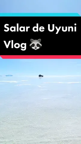 Una pequeña muestra de uno de los lugares más hermosos de Bolivia 🇧🇴 #salardeuyuni #uyuni #bolivia🇧🇴 #teambolivia #Vlog #viral
