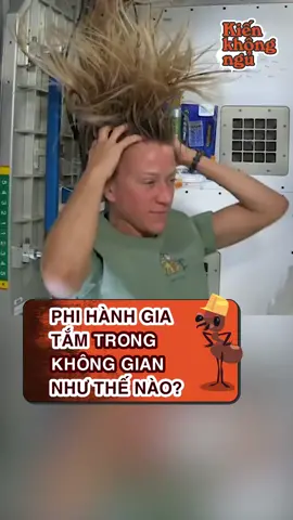 Công việc dành cho người lười tắm 😂 #kienkhongngu #beatoflife #bnetwork #LearnOnTikTok #hoccungtiktok