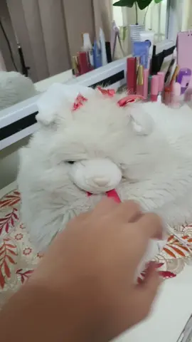 sama abang moru emang susah🙃