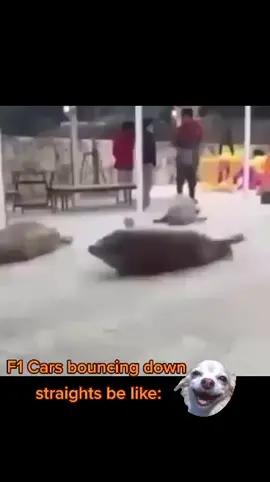What do you think about 2022 F1 cars porpoising? #f12022 #f1news #f1tiktok #f1memes #f1testing #formulaone #f1 #hamilton #verstappen #bahraingp2022 #f1edit