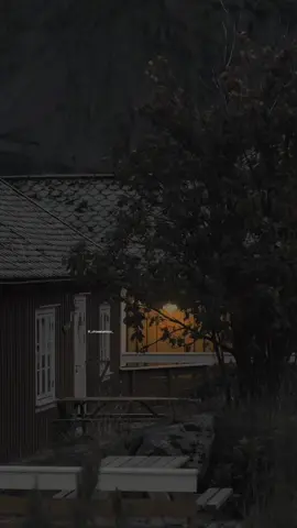 Những lúc cảm thấy stress thì bạn sẽ làm gì vậy…?