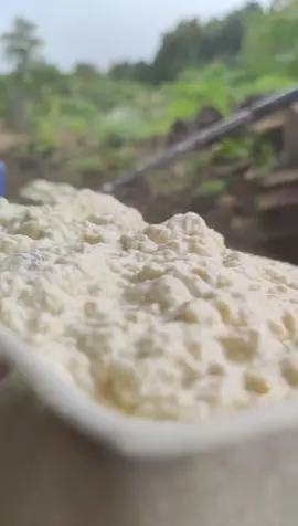 bạn nào có tâm nguyện XUẤT GIA nt khải tuấn hướng dẫn cho🌱#amthucphatgiao #thichkhaituan #tiktokmentor #vulaci #ancungtiktok