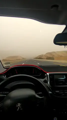 #tiktokalgerie🇩🇿_🇲🇦m #tiktokalgerie🇩🇿_🇲🇦maroc🇲🇦_tunusi❤️ #rai2021chonson🇩🇿🇵🇸🇹🇳🇲🇦🎼 #tiktokalgerie🇩🇿_🇲🇦maroc🇲 #tlemcen_13_tiktok