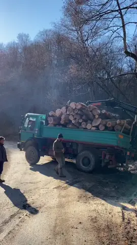 #mercedes #benz #1722 #actros #4x4 #holztransport #foryou #fy #sume #drva #palfinger #hiab #blato #duplak #kamiondzije #kamion #dizalicari #nature #holz