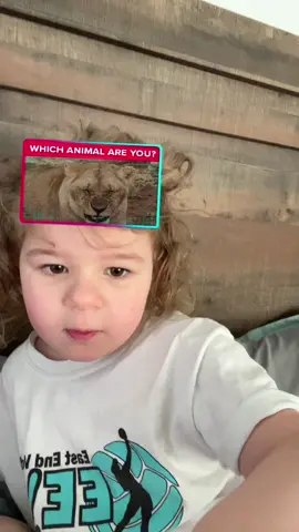 Which Animal Is Abby? #fyp #animals #funny