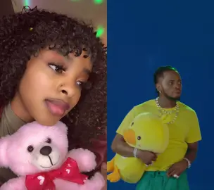 #duet with @diamondplatnumz ❤️#wander #duet #fypシ #tranding #nigeriantiktok #tanzaniatiktok