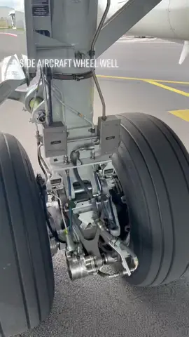 Always wondered what’s below below you seat? :) #aircraft #boeing #boeing737 #pilot #pilotlife #aiviation #airliners #mechanic