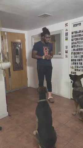 It’s Your Dog, Do Whatever You Want, Face The Consequences. ❤️