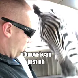 Sometimes a nibble isn’t enough! 🤣🤣 #voiceover - @klrdubs #dubviral #SmoothLikeNitroPepsi #fyp #zebra #pettingzoo