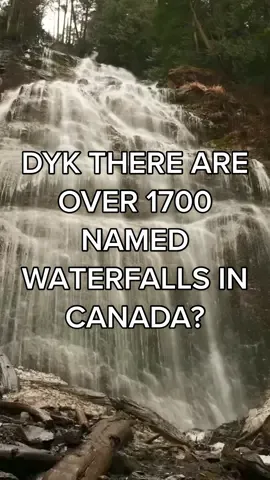 There are over 1700 named waterfalls in Canada. Time to start chasing them 🚗 #guesswheretrips #canadiantravels  #waterfallsoftiktok #chasingwaterfalls