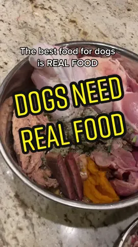 Download my Free Raw Food Guide. Link in my bio #rawfeddogs #rawfeddogsuk #rawfeeding #rawfeedingtiktok #healthydogs #healthydogsarehappydogs #fitdogs #fitdogsarehappydogs