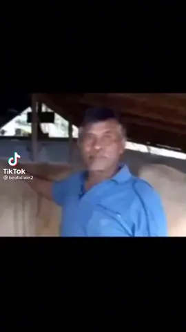 Đây là giống bò sa pa reng vùng Miền Tây ở Ả Rập Xê Ót 😂😂