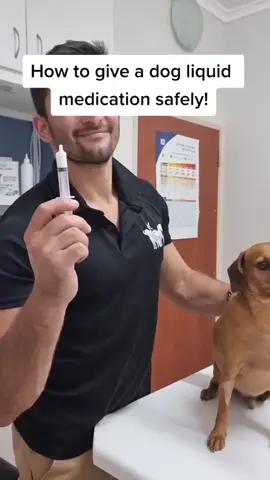 Take note of this!! we've had patients die due to this bring done incorrectly!! #veterinarian #fyp #dog #howto