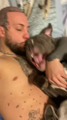 terrible puppy   🦷🦷🥰🥰😤😤.           #puppy #puppylove #pitbull #pitbullsoftiktok #amstafflove #amazing #americanbullies #amstafflove #americanbullyxl #amstafflove #kiss #peace #amstaff #tiktoker #tiktoker #animals