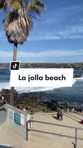 La Jolla beach 🤍