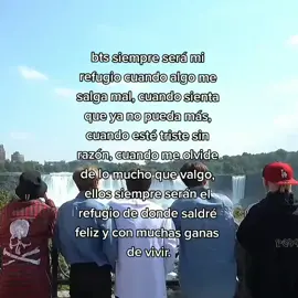 si pasan por momentos malos recuerden que encontrarán paz en los tannies<3 tengan buenos días y sonrían... #fyppp #armybts #bangtan #bts #parati #fypシ #viral #hogar #army #btsmylife