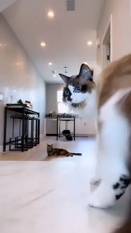 Peep Skye’s first subscriber in the back #fyp #foryou #foryoupage