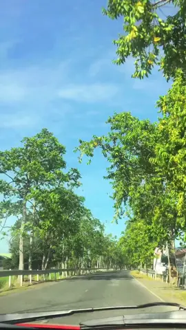 📍Licab,Nueva Ecija 🍀🍀☘️ #freshair  #probinsya ❤️