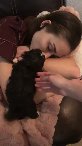 Puppy alarm clocks >>>