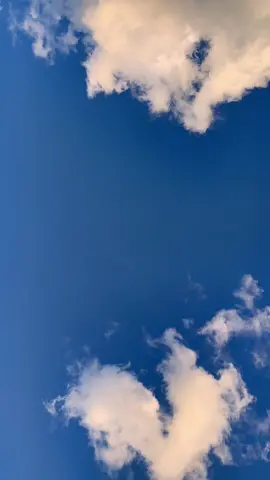 … ❤️ #nuvole #nuvolebianche #tramonto #cielo #blu #sky #life #skyline #happy #moment #moments #star #ovunquesarai #cielogrande #cuore #vita #videoviral #views #heart #white #blue #followformorevideo #myvida