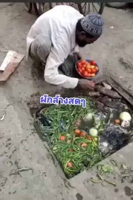 อย่าลืมล้างผักก่อนกินเด้อทุกคนนนน😂😂#อินเดียสไตล์ #อาหารอินเดีย