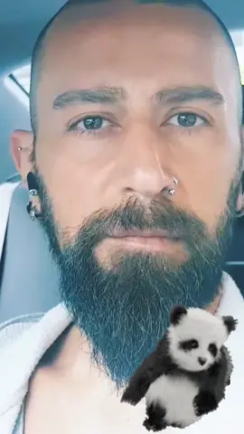 🐼🐾🖤 #panda #dessigner #foryou #fypシ #fyp