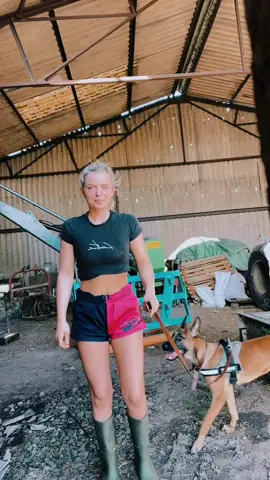 @SugarLoafClothing for the shorts 💙💗#UARushChallenge #femalefarmers #countryclothing #argiculture #femaleagri #femalefarmer #johndeere #farminglife #agri #dairyfarmer #countrylife #farminguk #equestrian