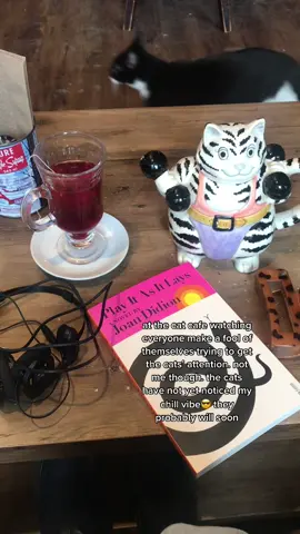 i dont chase i attract.