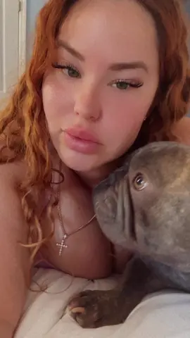 #frenchielove #frenchbulldog #stitch #milf #frenchie #cubana #california