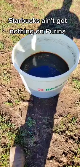 Chunky coffee is better than chunky milk @purinafeedgreatness. @starbucks  #ranchtok #cattle #coffee #macysownyourstyle #VenmoSpringBreak #SeeHerGreatness