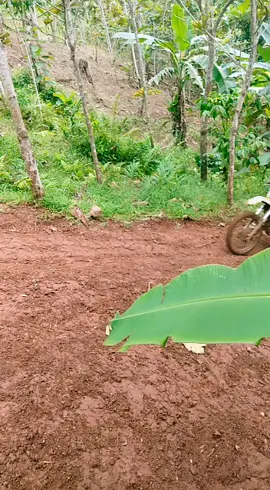 trable tanjakan beas#fypシ