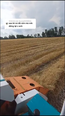 Trả lời @sang10112005nts đầy rơm là cây cò đập xuống là cây kèn kiu lên ,mà a chạy wem r nên tháo kèn ra r cho đỡ ồn 😅😅#maycuonromphantan