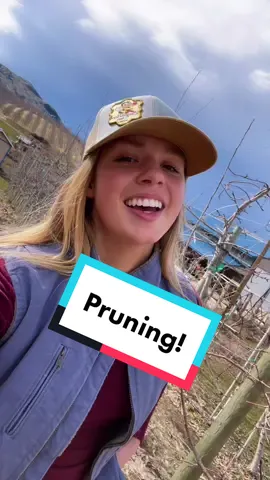 It’s a big topic but I hope this helps y’all out! #applegirl #pruning #WomeninAg #familyfarm #educationtok