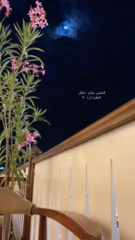 قلبي صار مثل القزازة 🎵 #خلف_بن_هذال #شعر #تصويري #حايلندا #اكسبلور؟