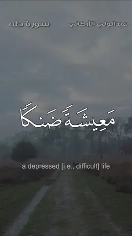 ومن أعرض عن ذكري فإن له معيشة ضنكا - #عبدالولي_الأركاني #قرآن #liak