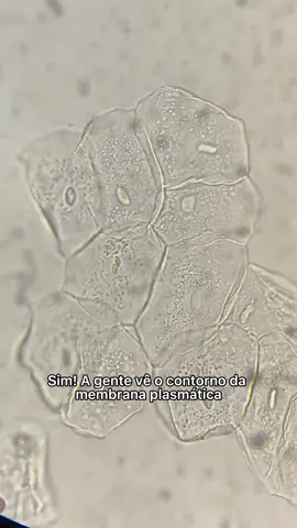 Tem teste genético com até 50% usando meu cupom 😍 @meudna_oficial Link na minha bio!!