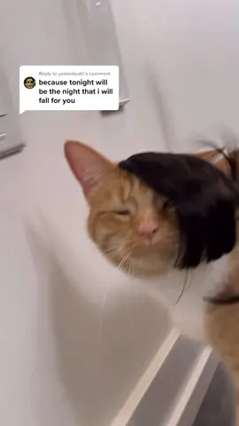 Reply to @yeetedoutt because tonoite will be the noite that I will fall for yeou - emo kittty