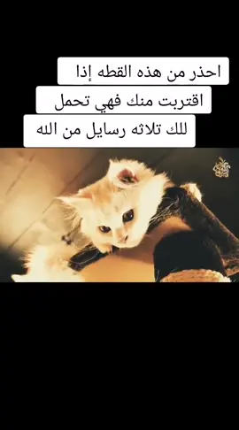 @miz859