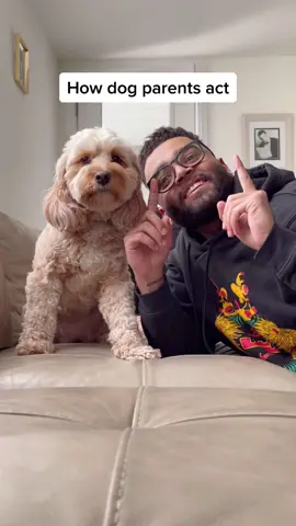 Like for a part 2 #dogsofttiktok #fyp #dogs #petparent #PetsOfTikTok #foryou #doglife