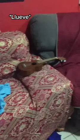 JAJAJAJAJ oooow🥺🥺🥰🥰 te amo perrito que se tapa con su cobijita❤🥺🥺🥺#parati #fypシ #viral #perros #funny