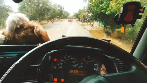 မိုးအေးအေး နဲ့ 🤢