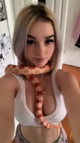 fake body