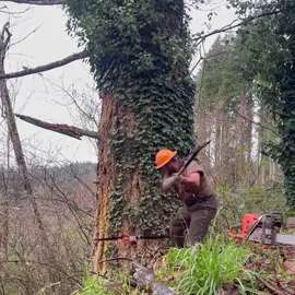 #tiktoktree #STİHL #Husqvarna #tahtacıoğlu #adent
