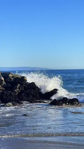 Carpe diem☀️☕️🛀💐🛒🛍🚘🌴🌊