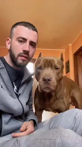 CON ME È PERMALOSO, DECIDETE VOI 😂