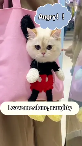 Leave me alone...#pet #cat #funny #cute #foryou