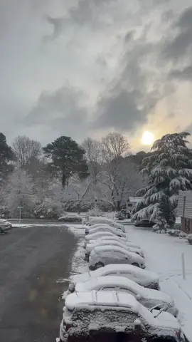 #snow #WomenOwnedBusiness #VoiceEffects